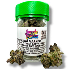 Tropicana Marker Exotic THCa Flower 10g Jar Hybrid
