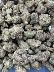 Bluzzi Exotic THCa Flower 10g 🟢 Hybrid 4K