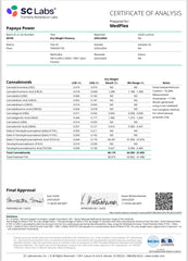 PAPAYA POWER THC Flower Hybrid Exotic Smalls THCa 14g 28g 114g 1/4 lb QP