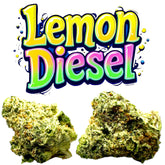 LEMON DIESEL THC FLOWER THCa AAA Exotic Flower 14g 28g 33.9%