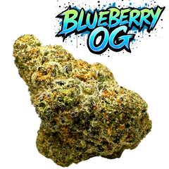 Alpha THCA Flower Blueberry OG Indica Exotic Delta 9 THC 10g