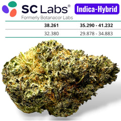 Double Bubble Exotic THCA Flower Indica-Hybrid 3.5g