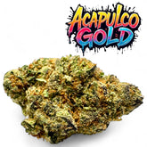 Acapulco Gold THCA Flower Exotic Sativa 10g