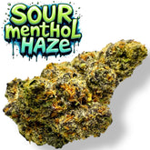 Super Menthol Haze THCa Flower 3.5g 🔴 Sativa