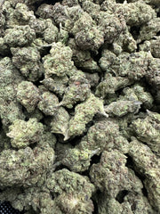 Jet Fuel Gelato Exotic THCA Flower Hybrid 10g š¢