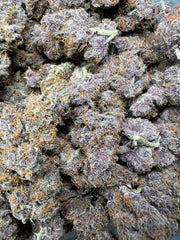 XL Tropicana Cherry Cookies Exotic THCa Flower 10g Jar Hybrid 28% QP