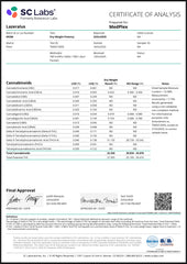 Lazeralus Exotic THCa Flower Sativa 10g