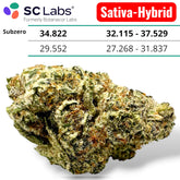 SubZero Exotic THCA Flower Sativa-Hybrid 10g