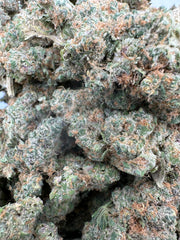 Chocolate Truffle Exotic THCA Flower Sativa 🔴