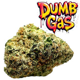 37.1% Dumb Gas THCa Flower 7g HYBRID AAA Indoor