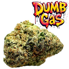 37.1% Dumb Gas THCa Flower 7g HYBRID AAA Indoor