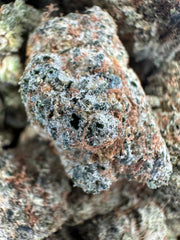 Zoza Exotic THCa Flower Indica 10g