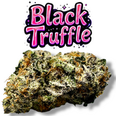 Black Truffle THCa Flower Exotic Indoor Indica Strain 10g Jar