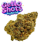 Gello Shots Exotic THCa Flower Hybrid 10g