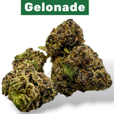 Gelonade THCa Flower Exotic Hybrid 10g 4K