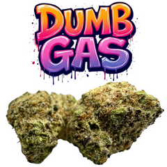 THC Flower Exotic Smalls DUMB GAS HYBRID 14g 28g 112g THCa 37%