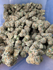 Grid Lock Exotic THCa Flower 10g Jar Indica