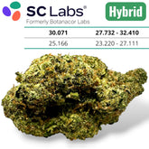 Presidental Runtz Exotic THCA Flower Hybrid 10g