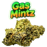 Exotic THCA Flower GAS MINTZ Hybrid OG Kush 10g Jar