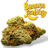 Banana Jealousy XL THCa Exotic Flower 10g 4K