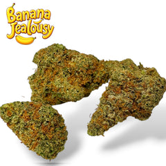 Banana Jealousy XL THCa Exotic Flower 10g 4K