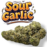 Sour Garlic Exotic THCa Flower Hybrid 10g