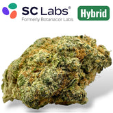 Galaxy Brain Exotic THCA Flower Hybrid 3.5g