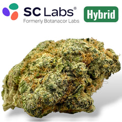 Galaxy Brain Exotic THCA Flower Hybrid 3.5g