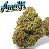Amalfi Exotic THCa Flower Sativa 🔴 10G 4K