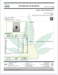 XL Tropicana Cherry Cookies Exotic THCa Flower 10g Jar Hybrid 28% QP