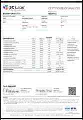 Blueberry Pancakes THCA Flower Exotic Hybrid Smalls 🟢 4K