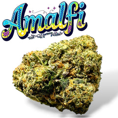 Amalfi Exotic THCa Flower Sativa 🔴 10G 4K
