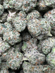 XL OREO COOKIES Exotic THCA Flower 10G QP 32.8%