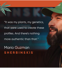 Sherbinskis Bacio Gelato THC Cart 1g Hybrid