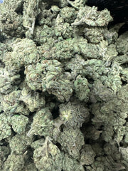 Zangria Exotic THCa Flower 10g 🟢 Hybrid