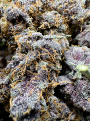 XL Tropicana Cherry Cookies Exotic THCa Flower 10g Jar Hybrid 28% QP