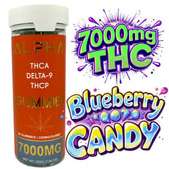THC Gummies Blueberry Candy XL 7000mg 20 ct THCA THCP D9