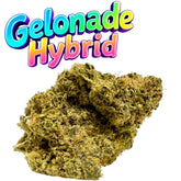 Gelonade XL Exotic THCa Flower Hybrid 10g
