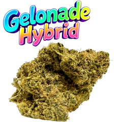 Gelonade XL Exotic THCa Flower Hybrid 10g
