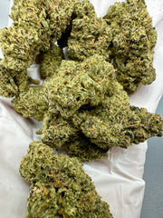 Exotic THCA Flower GAS MINTZ Hybrid OG Kush 10g Jar