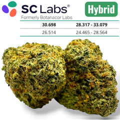 Crumb Dumpster Exotic THCa Flower Hybrid 10g