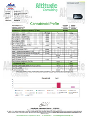 Watermelon x Jack Herer THC Vape Pen 3g 🔴 Sativa