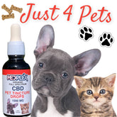 JUST CBD OIL for Pets Tincture Drops 1000mg