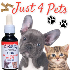 JUST CBD OIL for Pets Tincture Drops 1000mg
