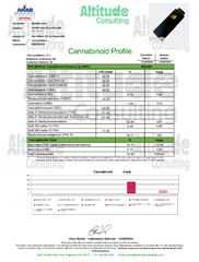 Skywalker OG THC Vape Pen 2g Disposable