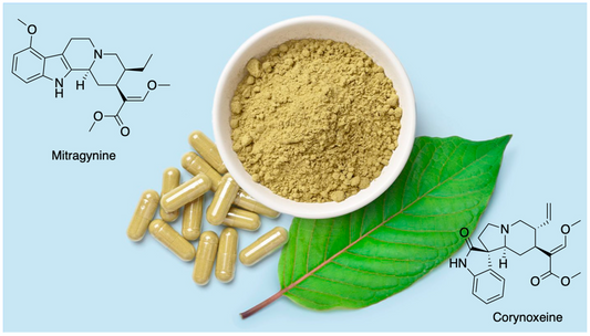What Is Kratom Mitragynine Tablets?  10 Most Frequently Asked Questions