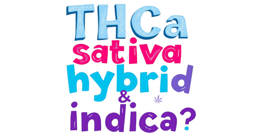 THCA Flower | Sativa | Hybrid | Indica:  What's The Difference In Terpenes?