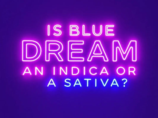 Is Blue Dream An Indica or A Sativa Strain?