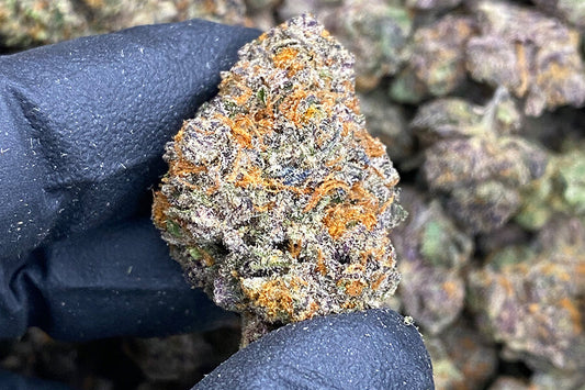 Top Selling Exotic THCA Flower in 2025: Why MedPlex.com is Your Go-To for Wholesale THCA Flower