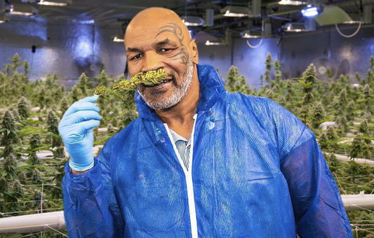 11 Celebrities Who Have Publicly Talked About Using CBD and THC